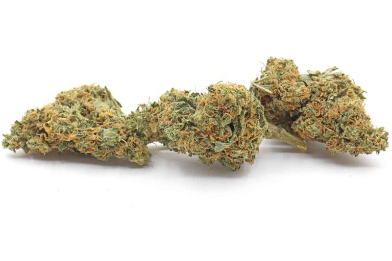 Apple Fritter