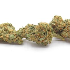 Apple Fritter Strain Flower - Hybrid Apple Fritter Strain Flower - Hybrid