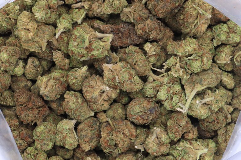 Apple Fritter