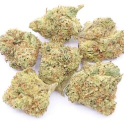 Blueberry Seagal Strain AAA Small Buds - Indica Dominant Hybrid Blueberry Seagal Strain AAA Small Buds - Indica Dominant Hybrid
