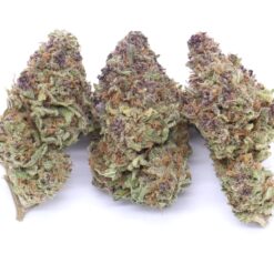 Blueberry SinMint Strain Flower - Indica Dominant Hybrid Blueberry SinMint Strain Flower - Indica Dominant Hybrid