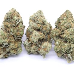 Glueberry OG Strain Flower - Hybrid Glueberry OG Strain Flower - Hybrid
