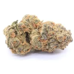 Glueberry OG Strain Flower - Hybrid