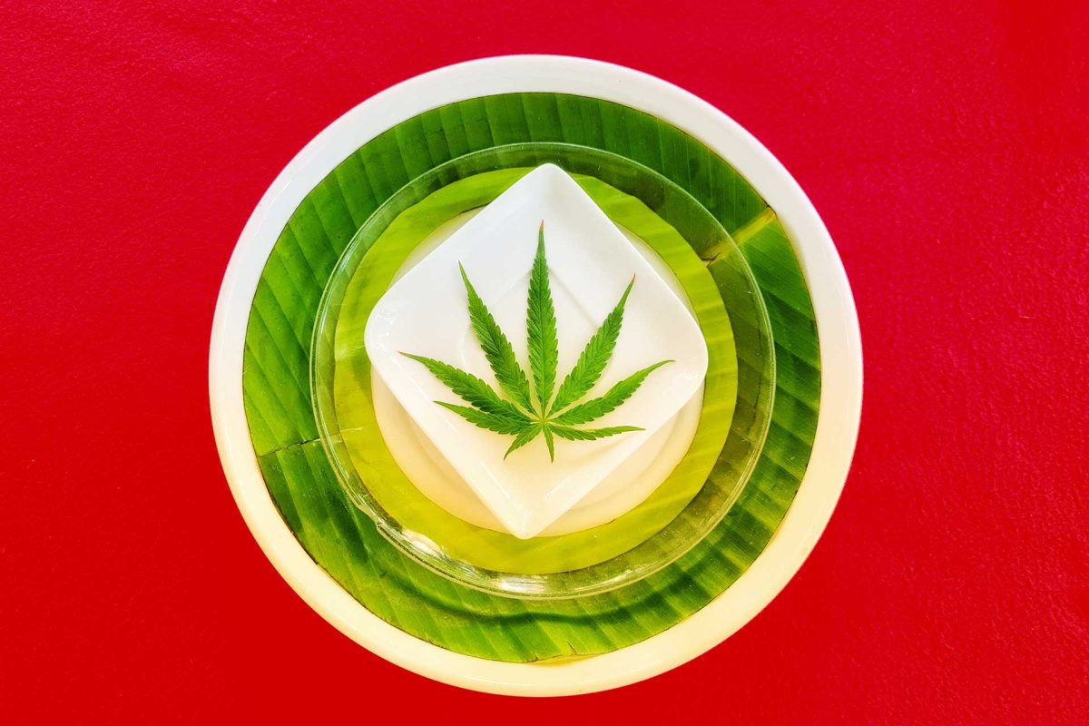 haute-health-nausea-from-edibles