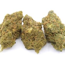 Lemon Dream Cake Strain - Hybrid Lemon Dream Cake Strain - Hybrid