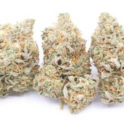 Triangle Kush Strain Flower - Indica Dominant Hybrid Triangle Kush Strain Flower - Indica Dominant Hybrid