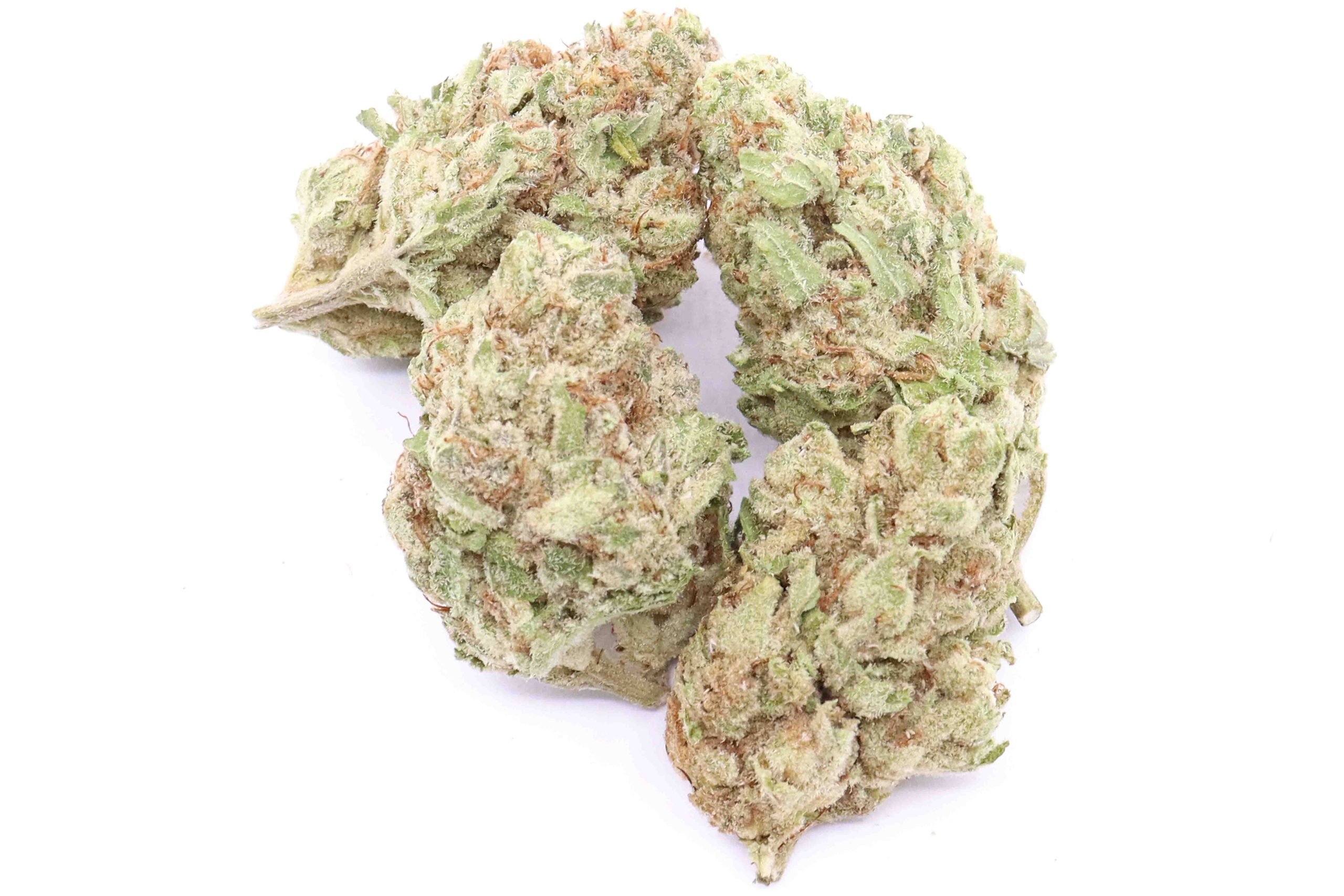 Black Cherry Punch Strain AAA Small Buds - Indica Dominant Hybrid