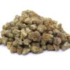 Cascade Cookies Strain Small Buds - Hybrid Cascade Cookies Strain Small Buds - Hybrid