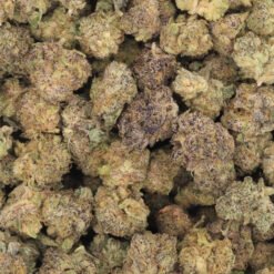 Cascade Cookies Strain Small Buds - Hybrid