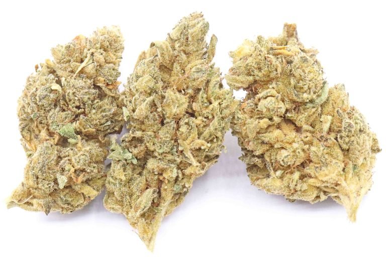 Chocolate Diesel