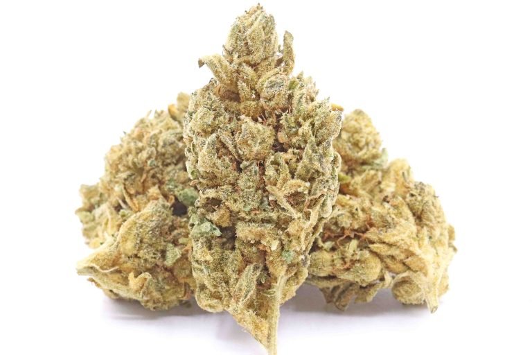 Chocolate Diesel