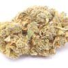 Chocolate Diesel Strain Flower - Sativa Dominant Hybrid Chocolate Diesel Strain Flower - Sativa Dominant Hybrid