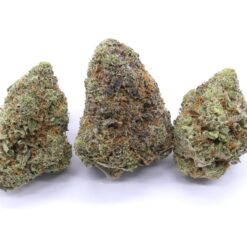 Comatose OG Strain Flower - Indica Dominant Hybrid Comatose OG Strain Flower - Indica Dominant Hybrid