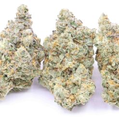 Dripz Strain Flower - Hybrid Dripz Strain Flower - Hybrid