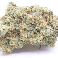 Dripz Strain Flower - Hybrid Dripz Strain Flower - Hybrid