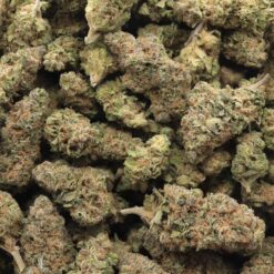 Gorilla Butter Strain Flower - Hybrid