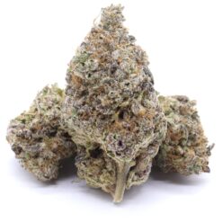 Grape Ape Strain Flower - Indica Dominant Hybrid Grape Ape Strain Flower - Indica Dominant Hybrid