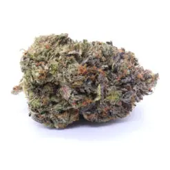 Gushers Strain Flower - Indica Dominant Hybrid
