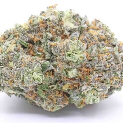 Gushers Strain Flower - Indica Dominant Hybrid Gushers Strain Flower - Indica Dominant Hybrid
