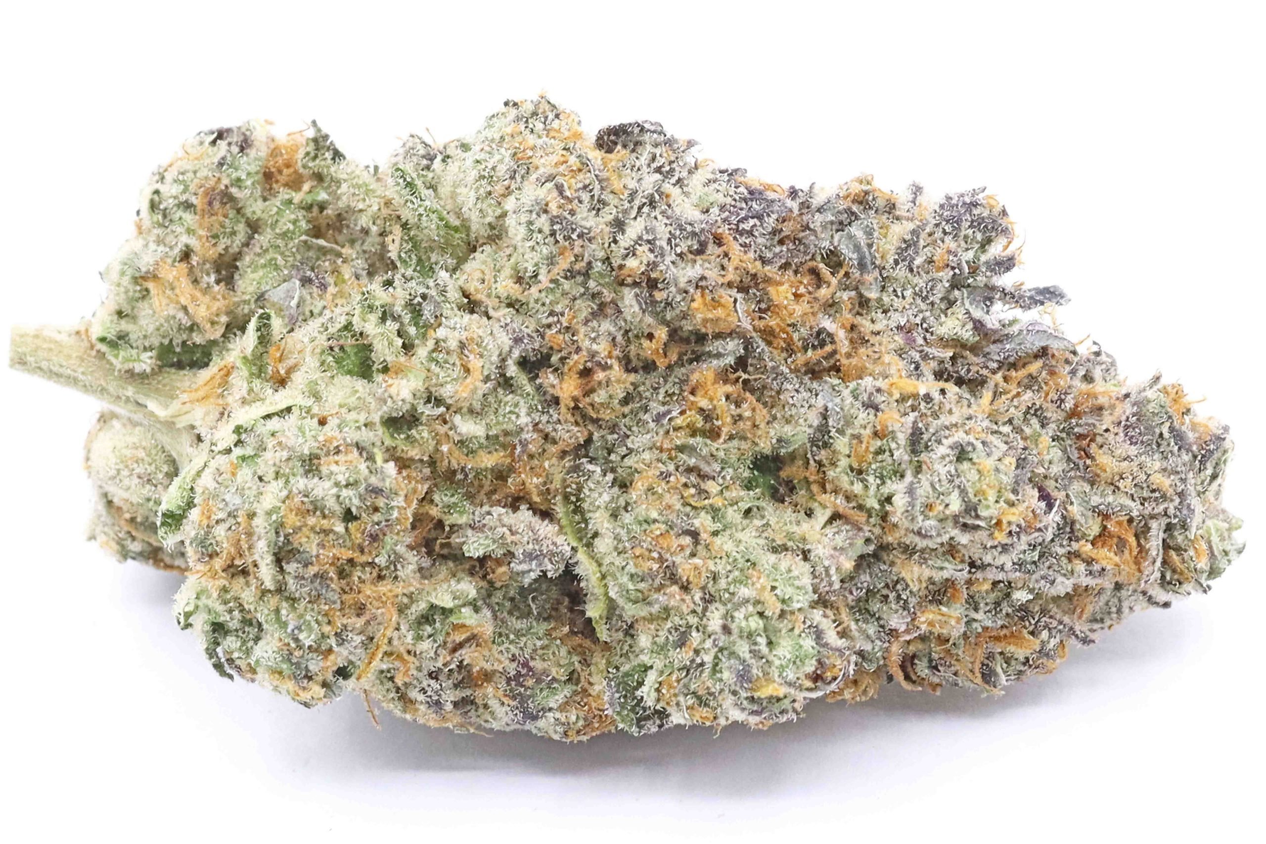 Hollywood Pure Kush Strain Flower - Hybrid