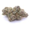 Hollywood Pure Kush Strain Flower - Hybrid Hollywood Pure Kush Strain Flower - Hybrid