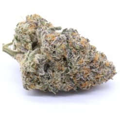 Jealousy Strain Flower - Hybrid