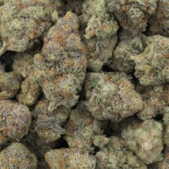 Jealousy Strain Flower - Hybrid