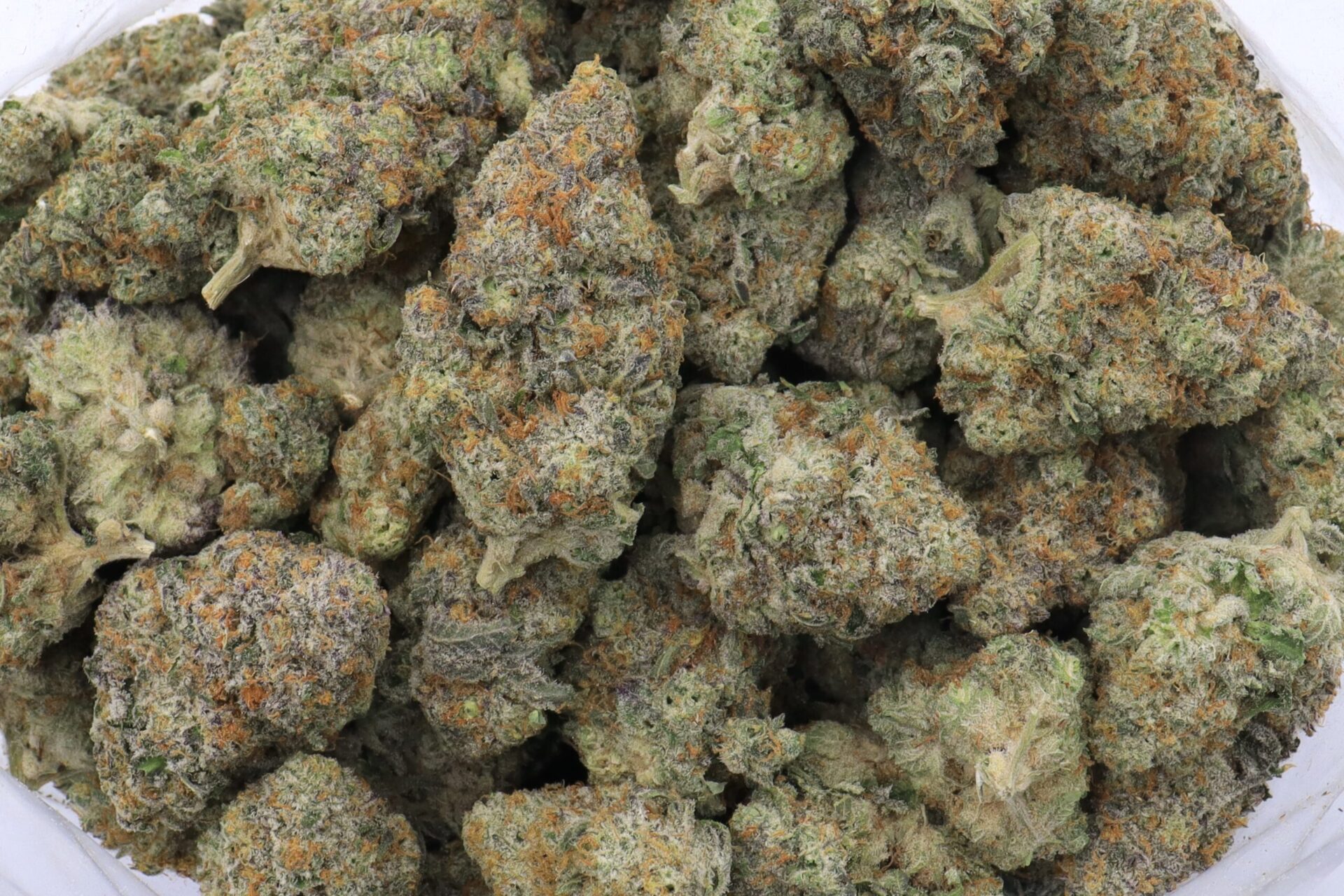 Jealousy Strain Flower - Hybrid Jealousy Strain Flower - Hybrid