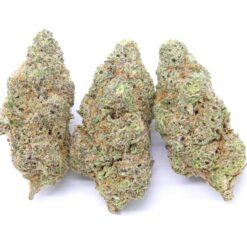 Jealousy Strain Flower - Hybrid Jealousy Strain Flower - Hybrid