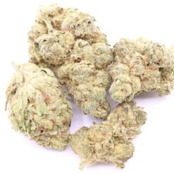 Martian Candy Strain Small Buds - Indica Dominant Hybrid Martian Candy Strain Small Buds - Indica Dominant Hybrid