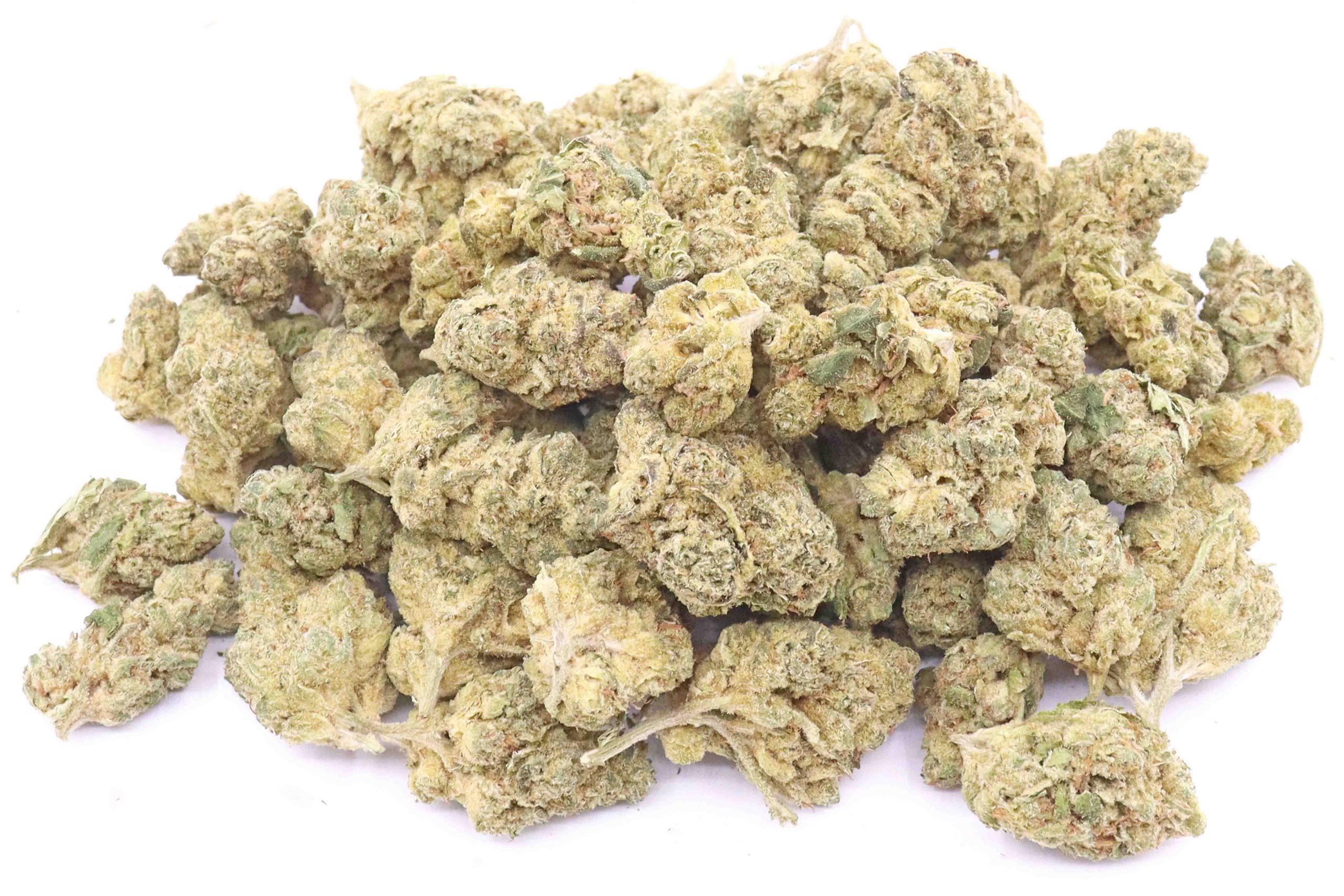 Martian Candy Strain Small Buds - Indica Dominant Hybrid