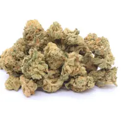 Martian Candy Strain Small Buds - Indica Dominant Hybrid Martian Candy Strain Small Buds - Indica Dominant Hybrid