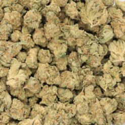 Martian Candy Strain Small Buds - Indica Dominant Hybrid Martian Candy Strain Small Buds - Indica Dominant Hybrid