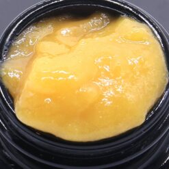 Panama Punch Strain Live Resin - Sativa Dominant Hybrid