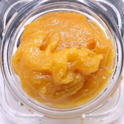 Panama Punch Strain Live Resin - Sativa Dominant Hybrid Panama Punch Strain Live Resin - Sativa Dominant Hybrid