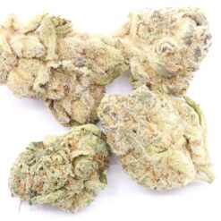 Purple Punch Strain AAA Small Buds - Indica Dominant Hybrid
