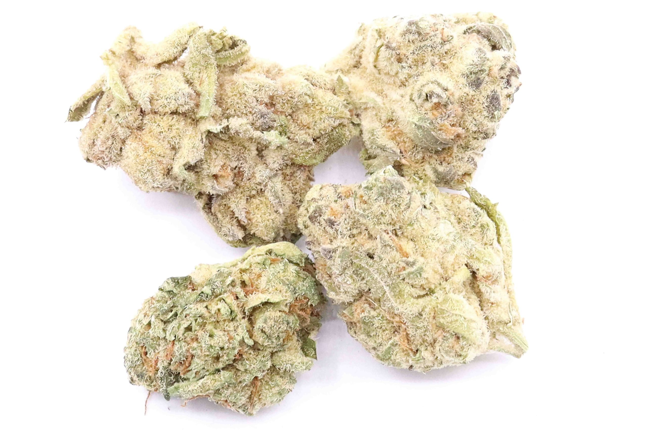 Purple Punch Strain AAA Small Buds - Indica Dominant Hybrid