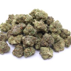 Purple Punch Strain AAA Small Buds - Indica Dominant Hybrid