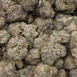 Slurricrasher Strain Flower - Sativa Dominant Hybrid Slurricrasher Strain Flower - Sativa Dominant Hybrid
