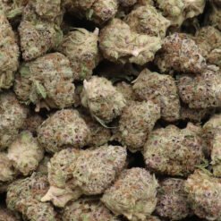 Sugar Wookies Strain AAAA Small Buds - Hybrid