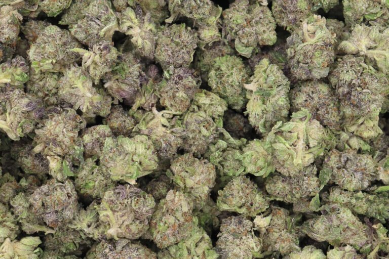 West Coast Sour Headband