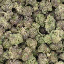 West Coast Sour Headband Strain Small Buds - Sativa Dominant Hybrid West Coast Sour Headband Strain Small Buds - Sativa Dominant Hybrid