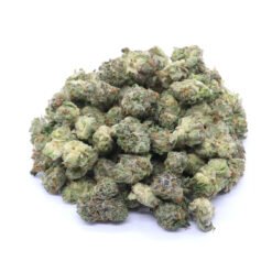 West Coast Sour Headband Strain Small Buds - Sativa Dominant Hybrid