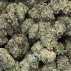 Blueberry Lemonade Strain Flower - Indica Dominant Hybrid Blueberry Lemonade Strain Flower - Indica Dominant Hybrid