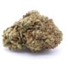 Glazed Apricot Gelato Strain Flower - Indica Dominant Hybrid Glazed Apricot Gelato Strain Flower - Indica Dominant Hybrid
