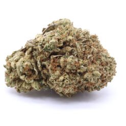 Glazed Apricot Gelato Strain Flower - Indica Dominant Hybrid