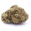 Glazed Apricot Gelato Strain Flower - Indica Dominant Hybrid