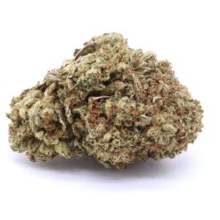 Glazed Apricot Gelato Strain Flower - Indica Dominant Hybrid