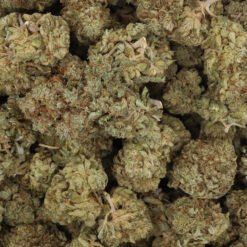 Glazed Apricot Gelato Strain Flower - Indica Dominant Hybrid Glazed Apricot Gelato Strain Flower - Indica Dominant Hybrid
