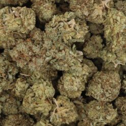 Glazed Apricot Gelato Strain Flower - Indica Dominant Hybrid